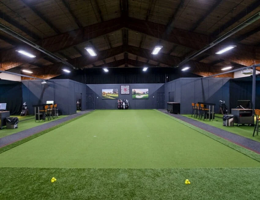 InHome Grasstex MoneyPutt Turf
